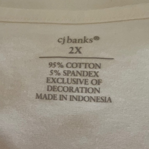 2 Piece Bundle CJ Banks Size 2X Women’s Tops - Picture 5 of 9